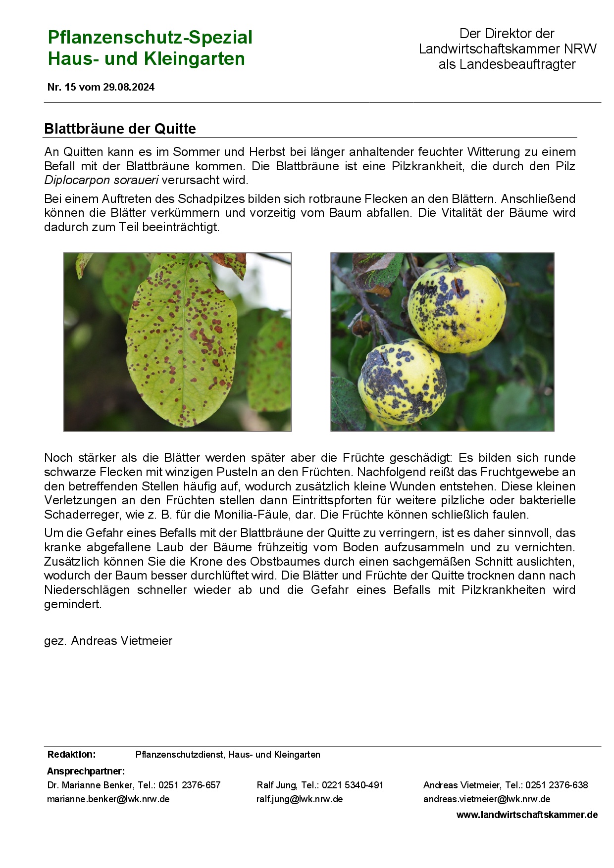 Bild 15