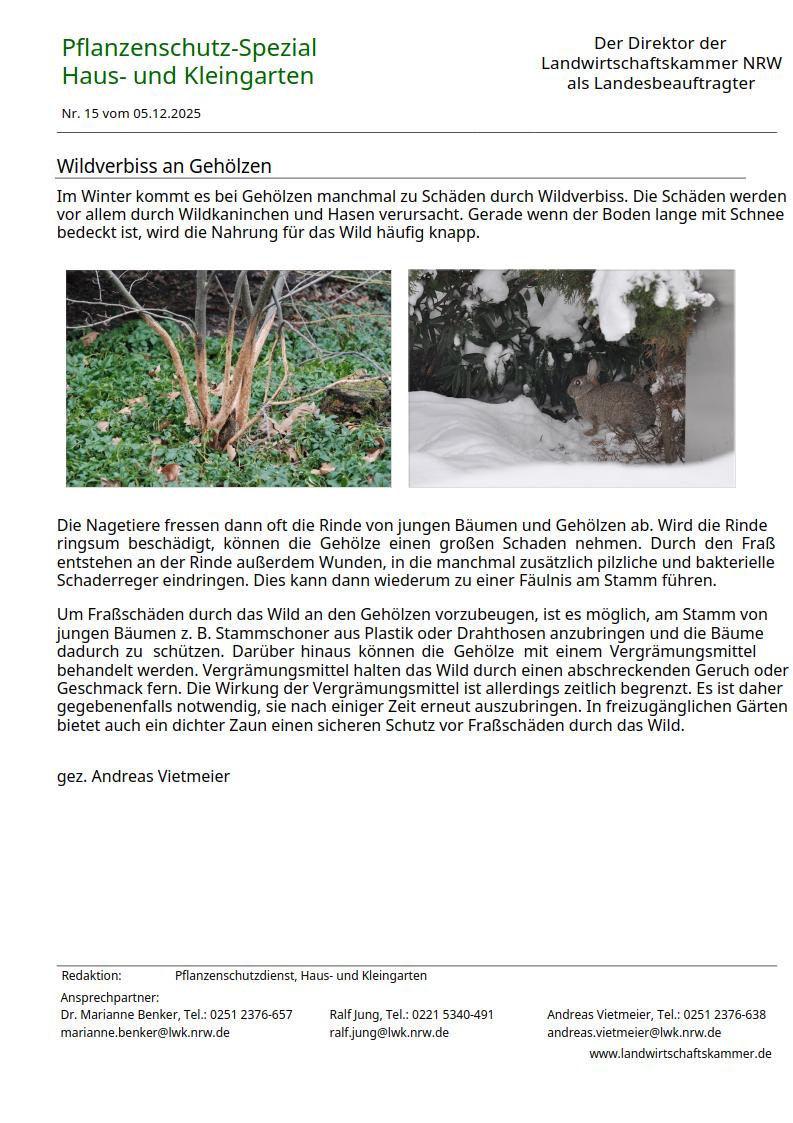 Bild 15